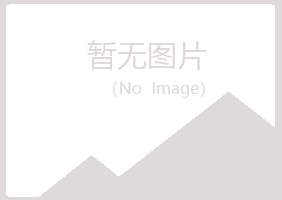 龙岗区从安能源有限公司